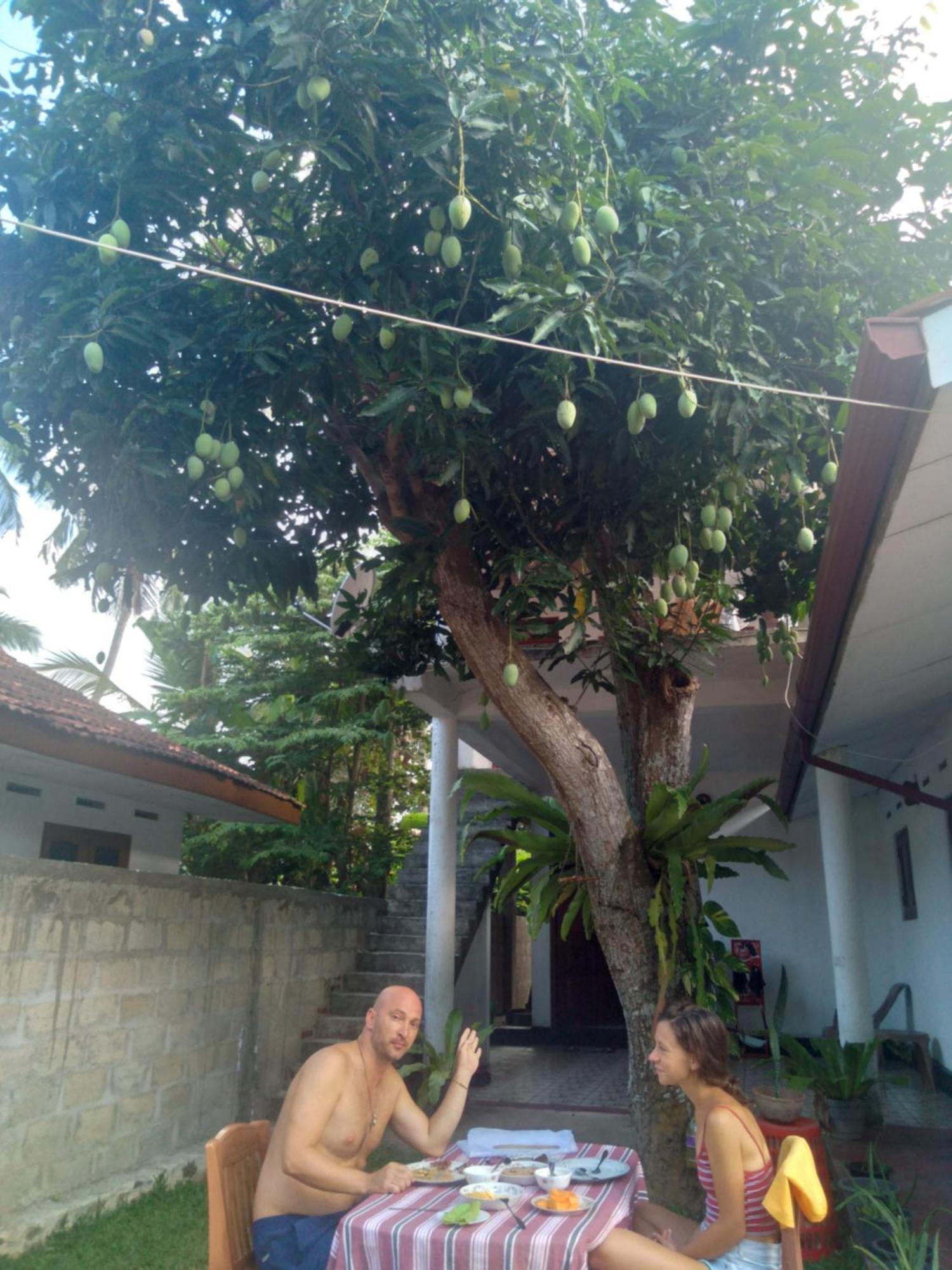 Sanithu Homestay And Villa Galle Exterior photo